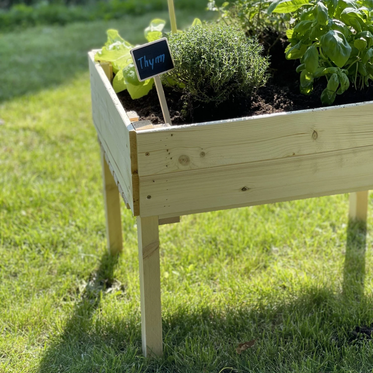 Carré Potager Pour Enfants En Bois Sur Pieds – Image 4