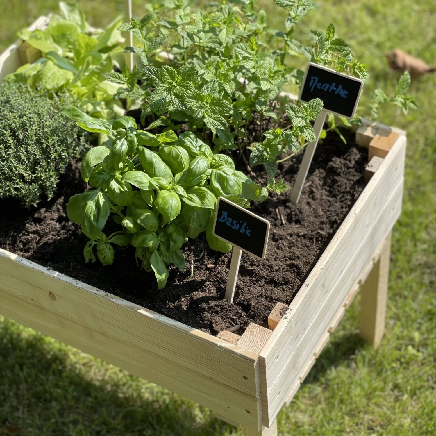 Carré Potager Pour Enfants En Bois Sur Pieds – Image 6