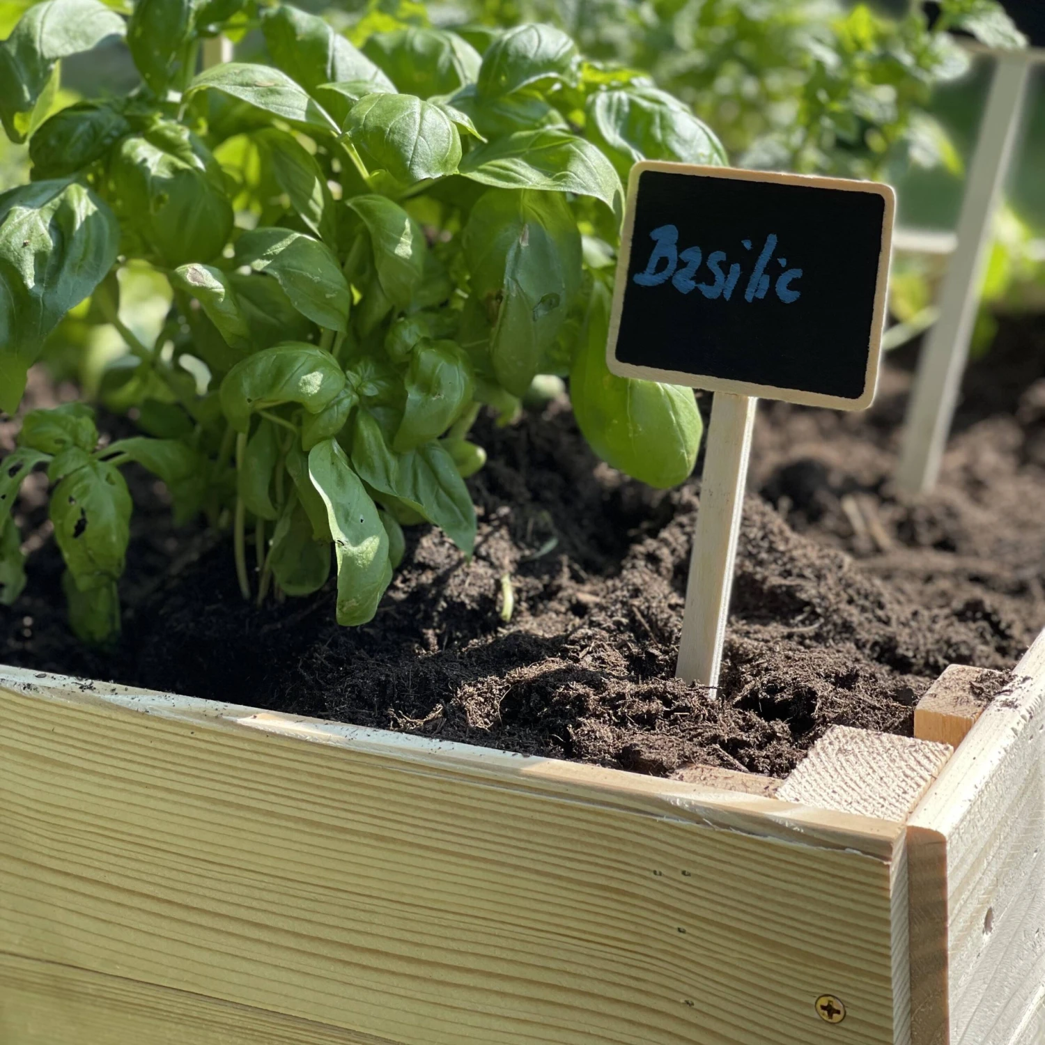 Carré Potager Pour Enfants En Bois Sur Pieds – Image 7
